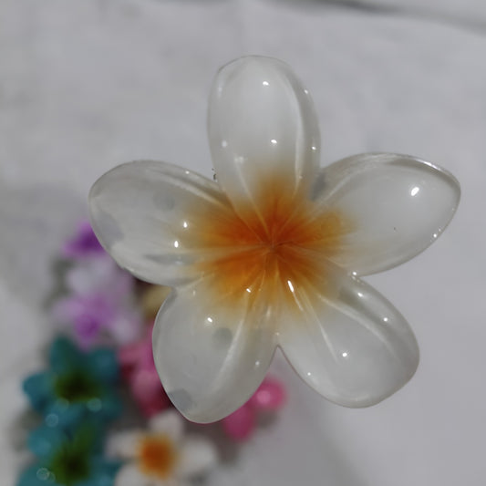Ladies Transparent Flower Hair Catcher